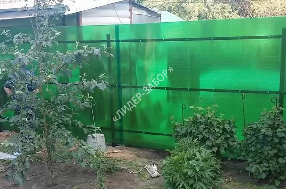 Цена Забор из поликарбоната для дачи зеленого цвета в Москве Купить Забор из поликарбоната для дачи зеленого цвета